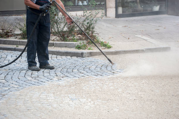 Best Patio and Deck Pressure Washing  in University Park, MD